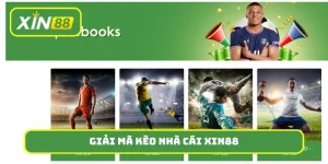 giải mã kèo nhà cái Xin88